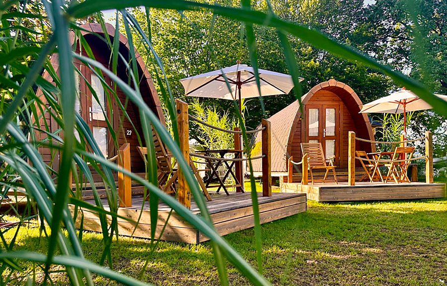 Cabane du Jardin des roseaux, vue à travers les roseaux
