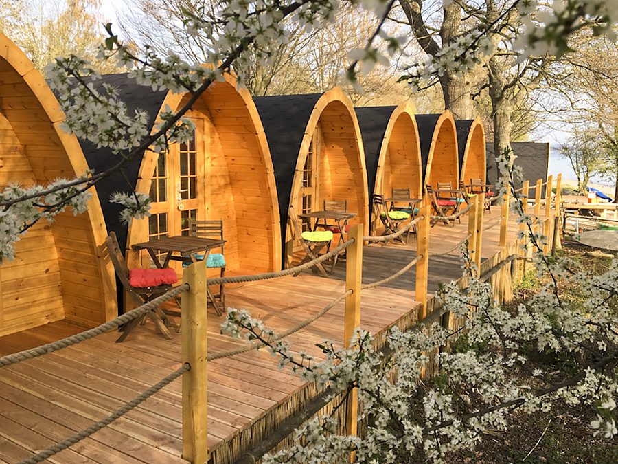 Cabanes sur pilotis entourées d'arbres en fleurs