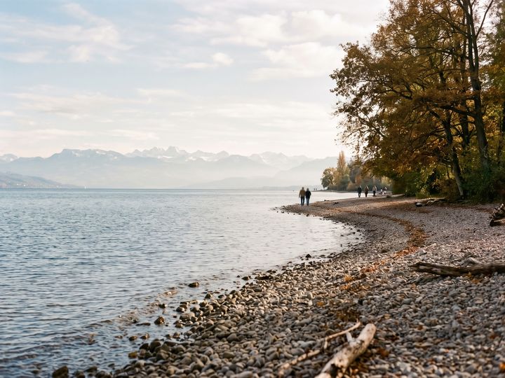 Image d’illustration : Plage de galets au bord du lac de Constance, les Alpes en arrière-plan