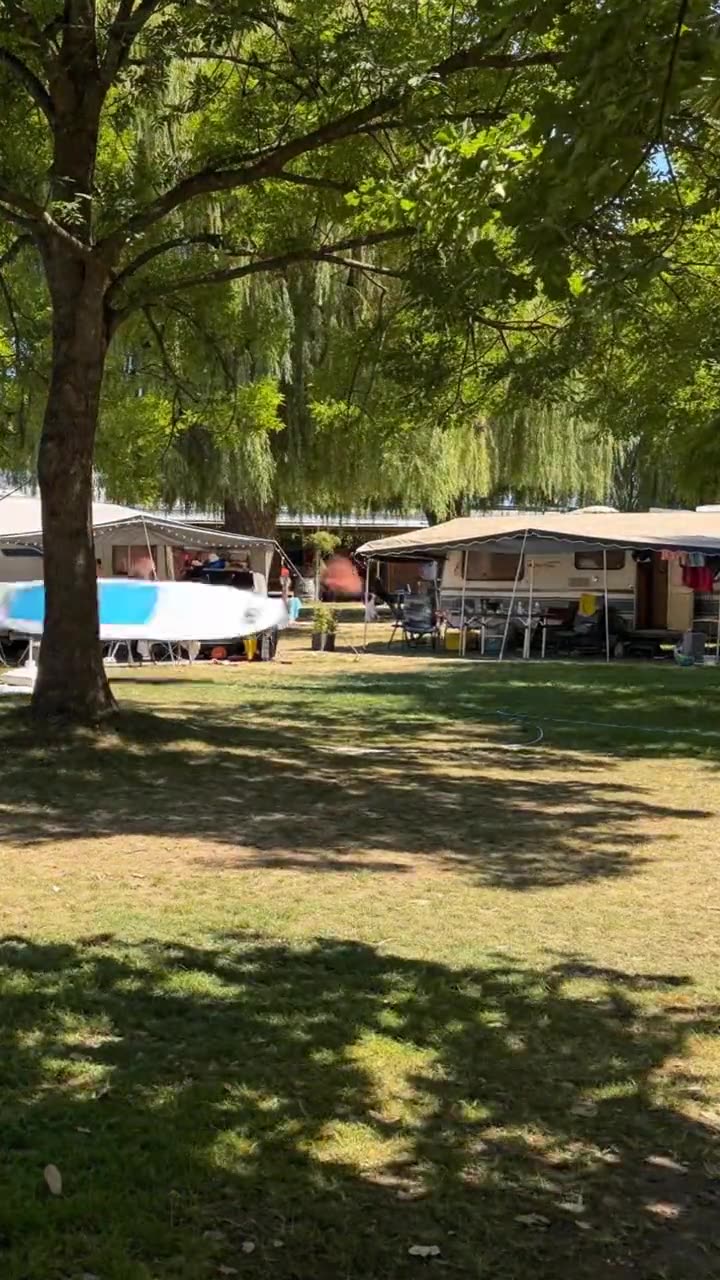 Dauerstellplätze unter alten Laubbäumen im Sommer