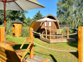 Schilfgarten panorama